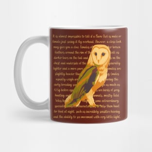 Barn Owl Information Mug